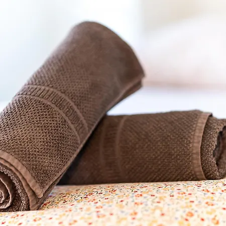 Le Petit Jardin - Pour 2 Personnes Centre Historique Lägenhet Clermont-Ferrand